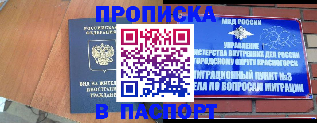 найти адрес прописки в Купино